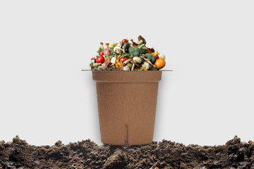 The Benefits of Composting: How Going Green Can Save You Money and Reduce Waste