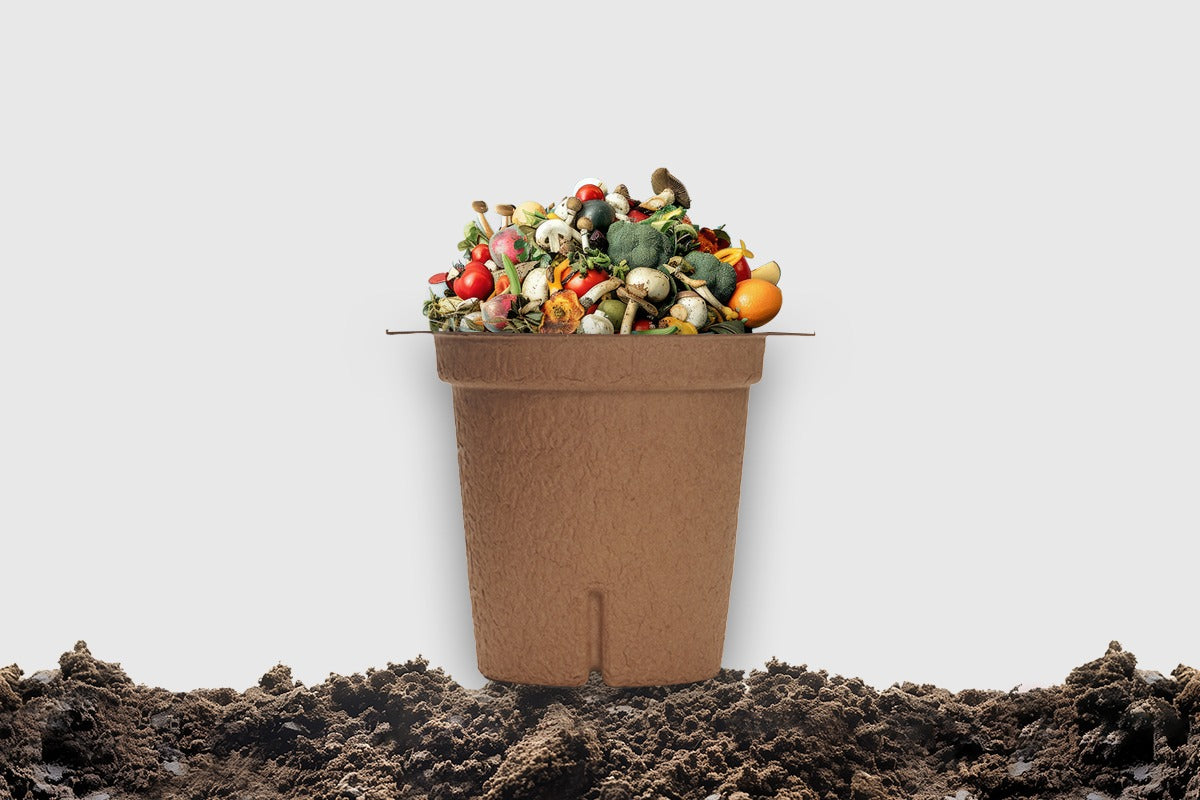 The Benefits of Composting: How Going Green Can Save You Money and Reduce Waste