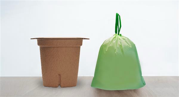 Composting Bins and Bags: How to Easily Maximize Organic Disposal with the Right Containers